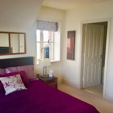 Curlew * Knights Town