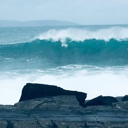 Appartamento Curlew *