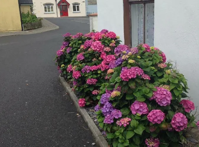 Apartament Curlew Knights Town
